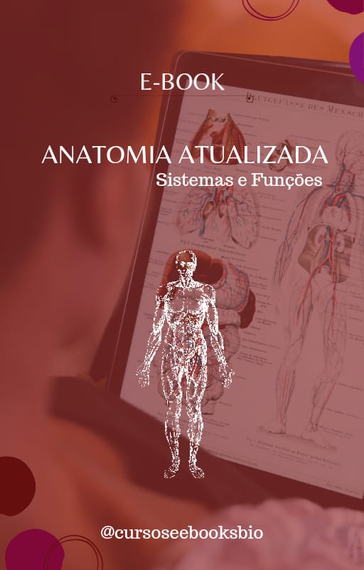 Imagem de capa para o Ebook Anatomia Atualizada