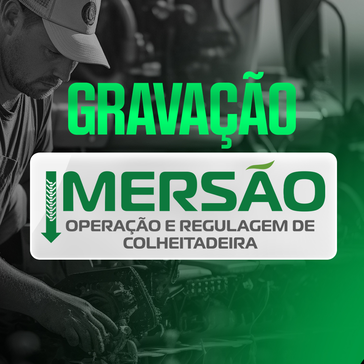 Imersão em formato de curso + CERTIFICADO