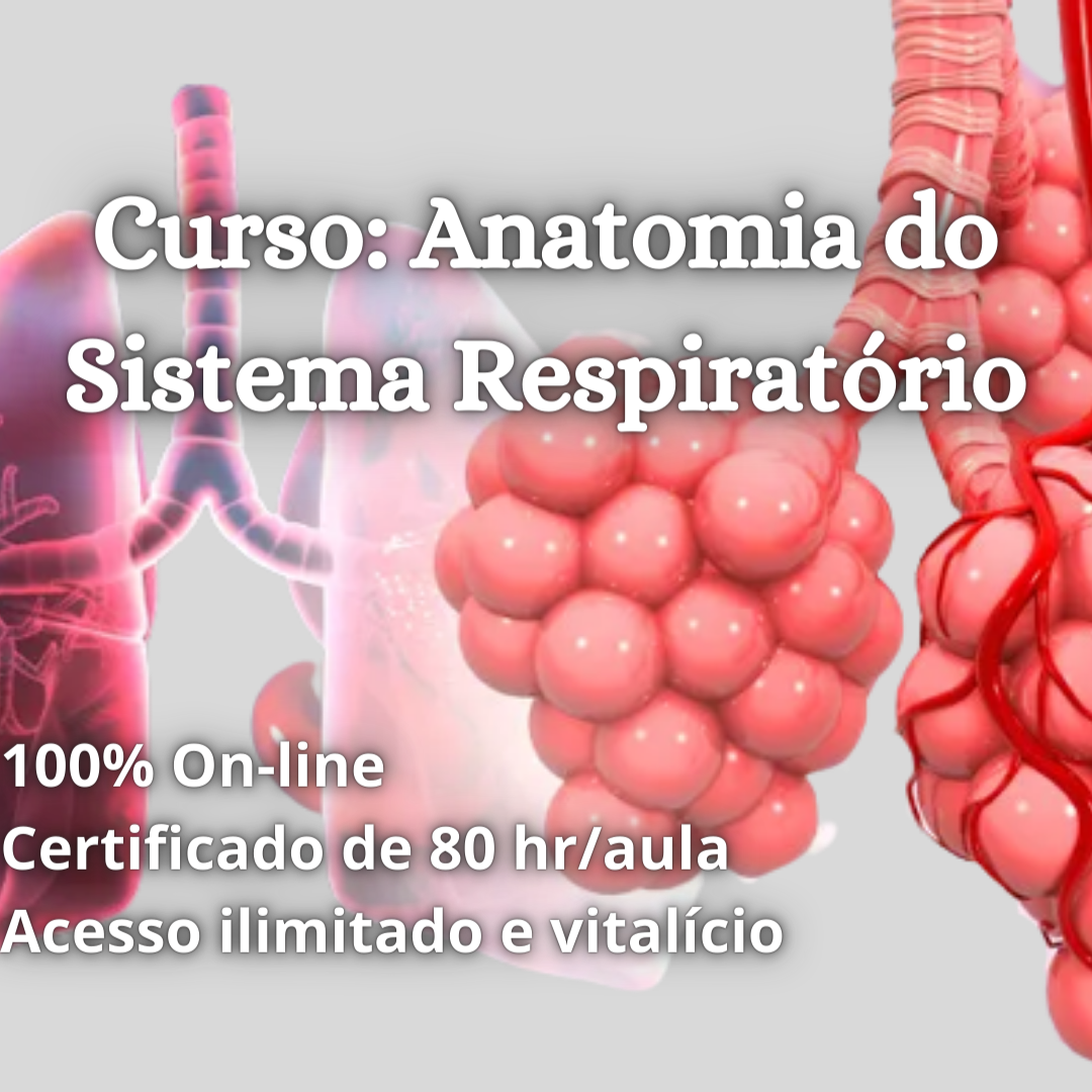 Anatomia do Sistema Respiratório