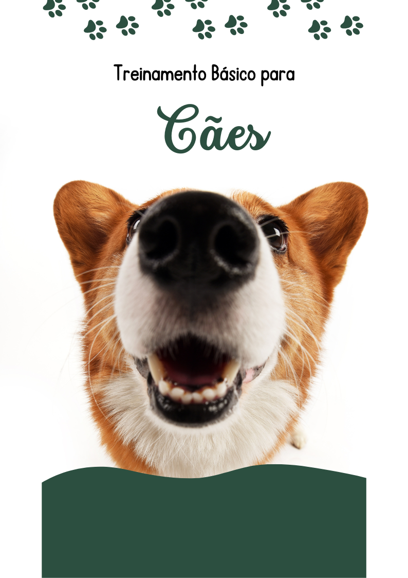 Treinamento Básico para Cães