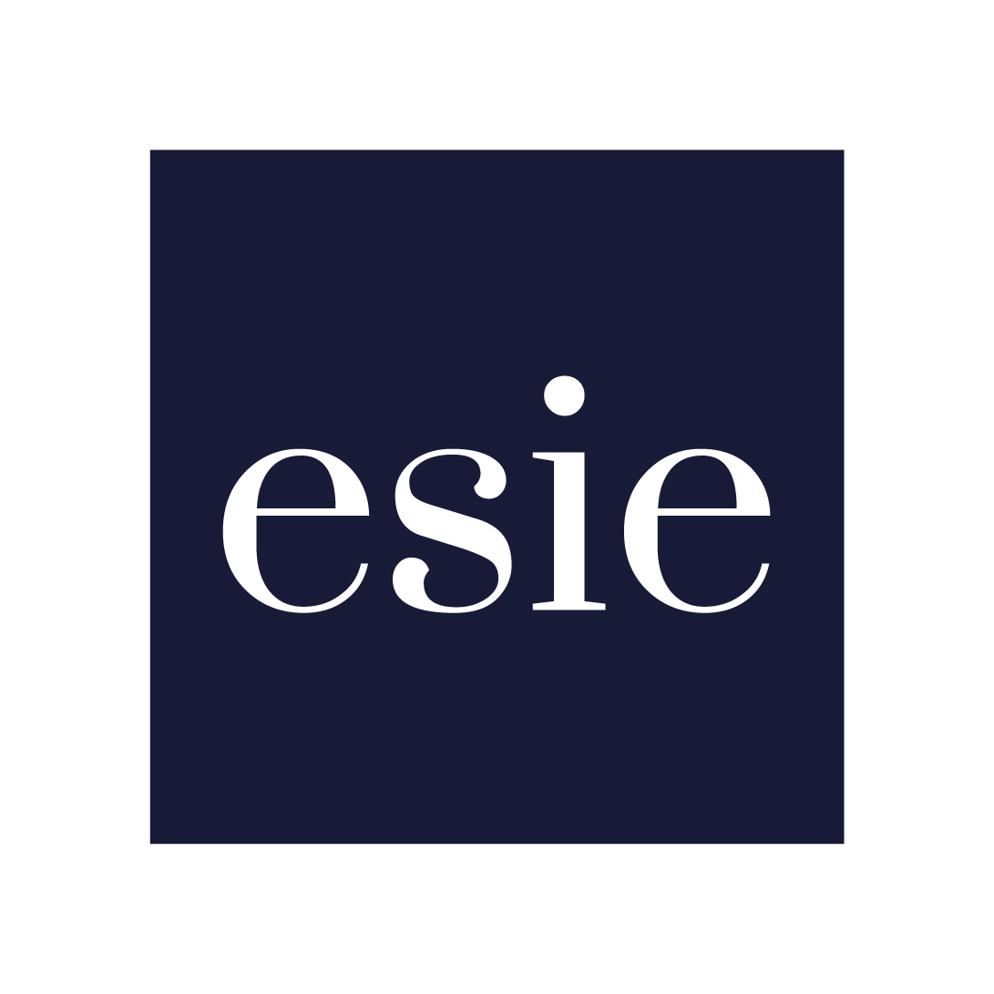 MBA con especialización en Marketing ESIE European School of International Education Hotmart