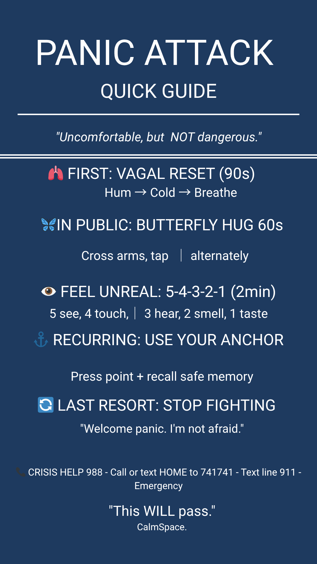 Panic Attack Emergency Guide (Printable + Digital) - Alejandra Muno...