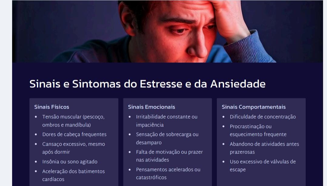 Estresse e ansiedade estratégias e práticas para o dia a dia - Aly...