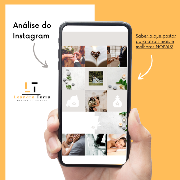 Analise de perfil do Instagram
