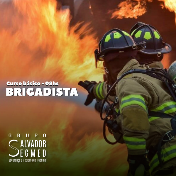 Curso de Brigadista Nível I (Básico - Formação) Conforme NBR 14276 ...