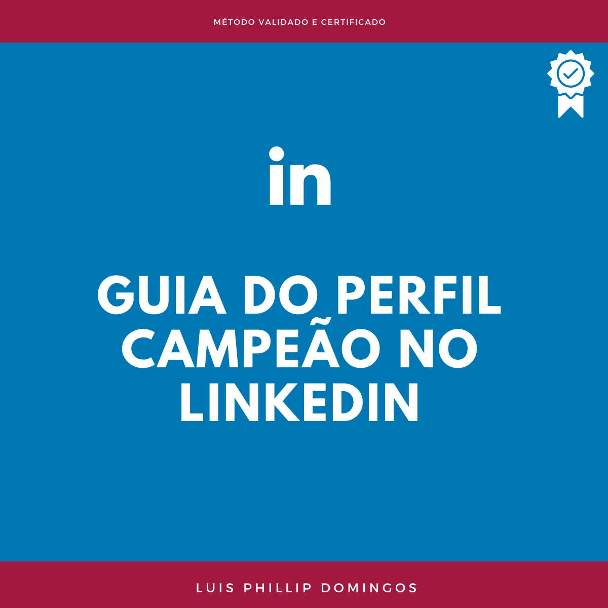 Guia do Perfil Campeão no Linkedin - Luis Phillip Domingos Zanini