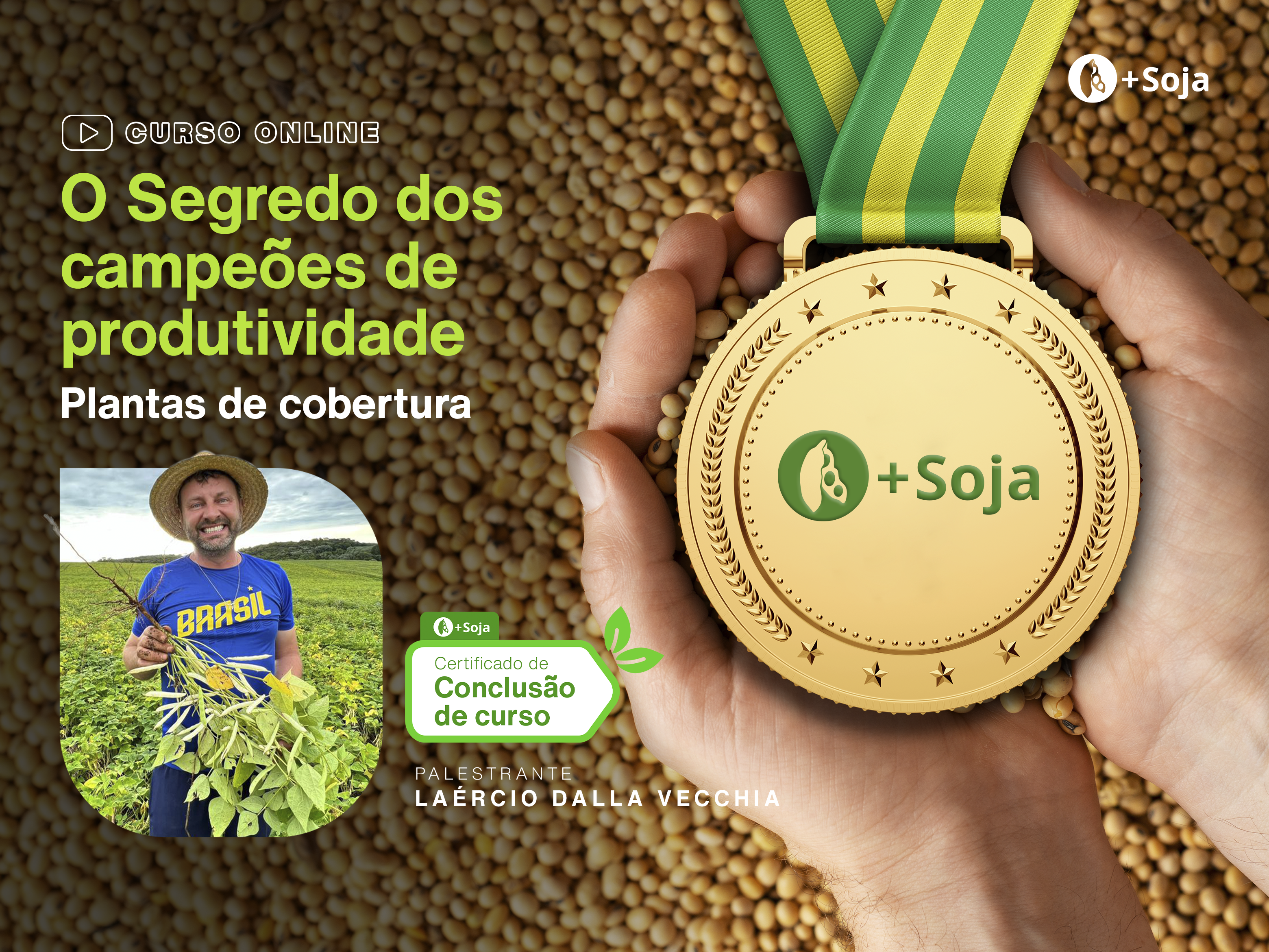 O Segredo dos campeões de produtividade: Plantas de cobertura.  Com a palavra Laércio Dalla Vecchia - Mais Soja | Hotmart