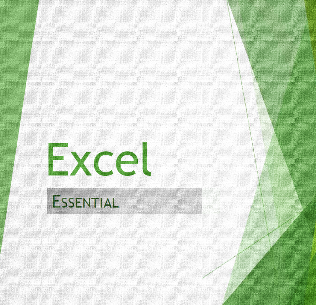 Excel Essential