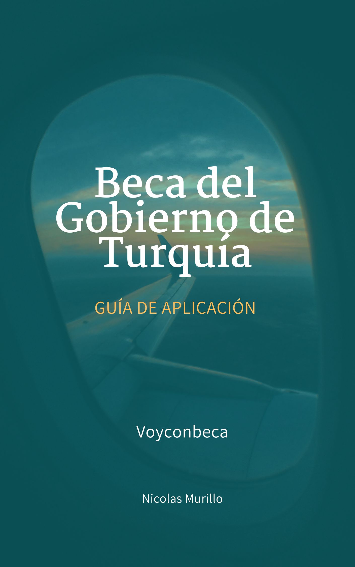 Guía de aplicación a la Beca de Turquía