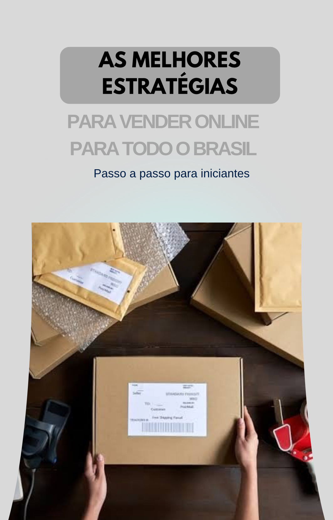 As melhores estratégias para vender on-line para todo o Brasil: pas...