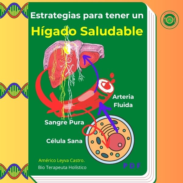 Imagen de portada para Ebook Estrategias para tener un HÍGADO SALUDABLE 