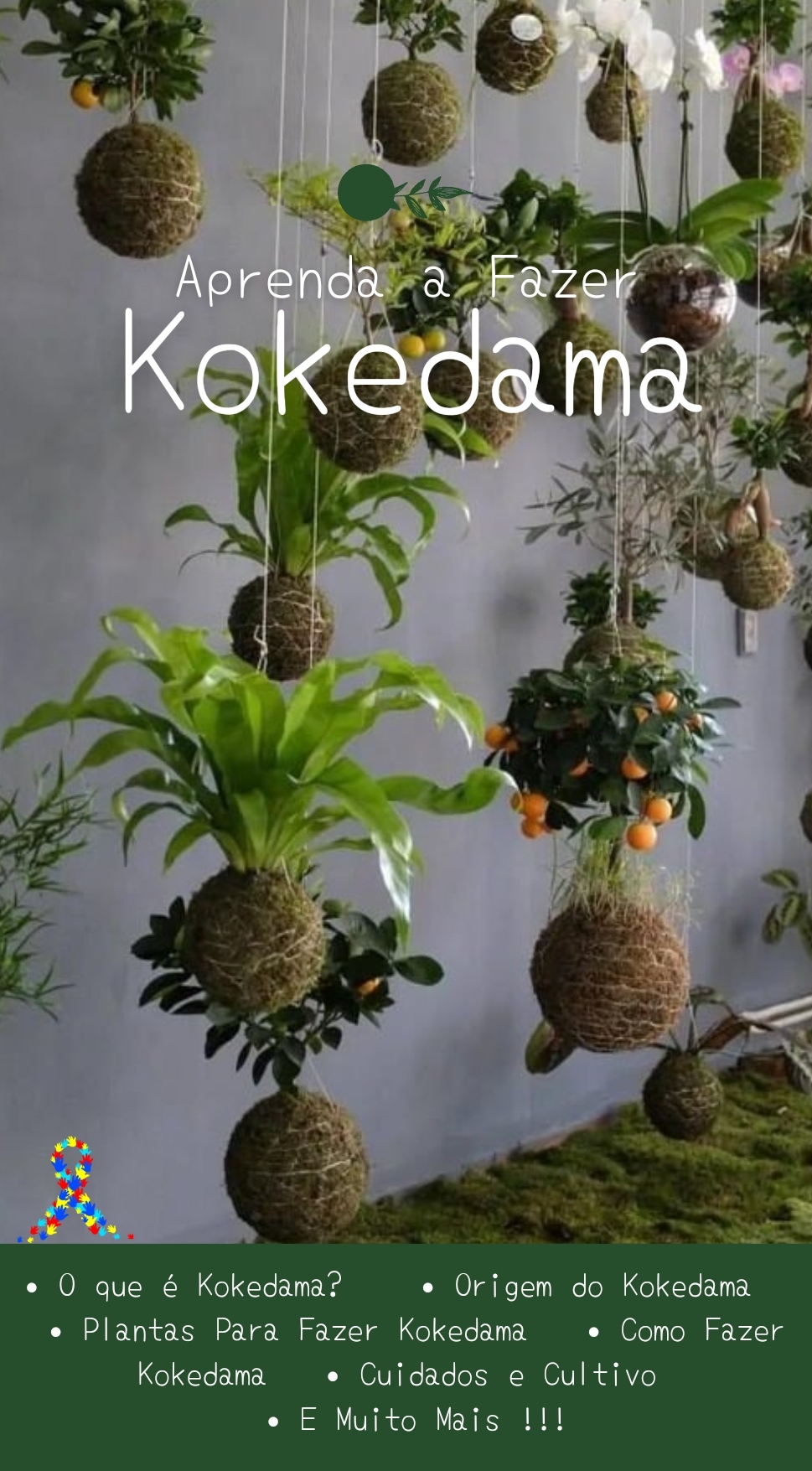 Aprenda a Fazer Kokedama