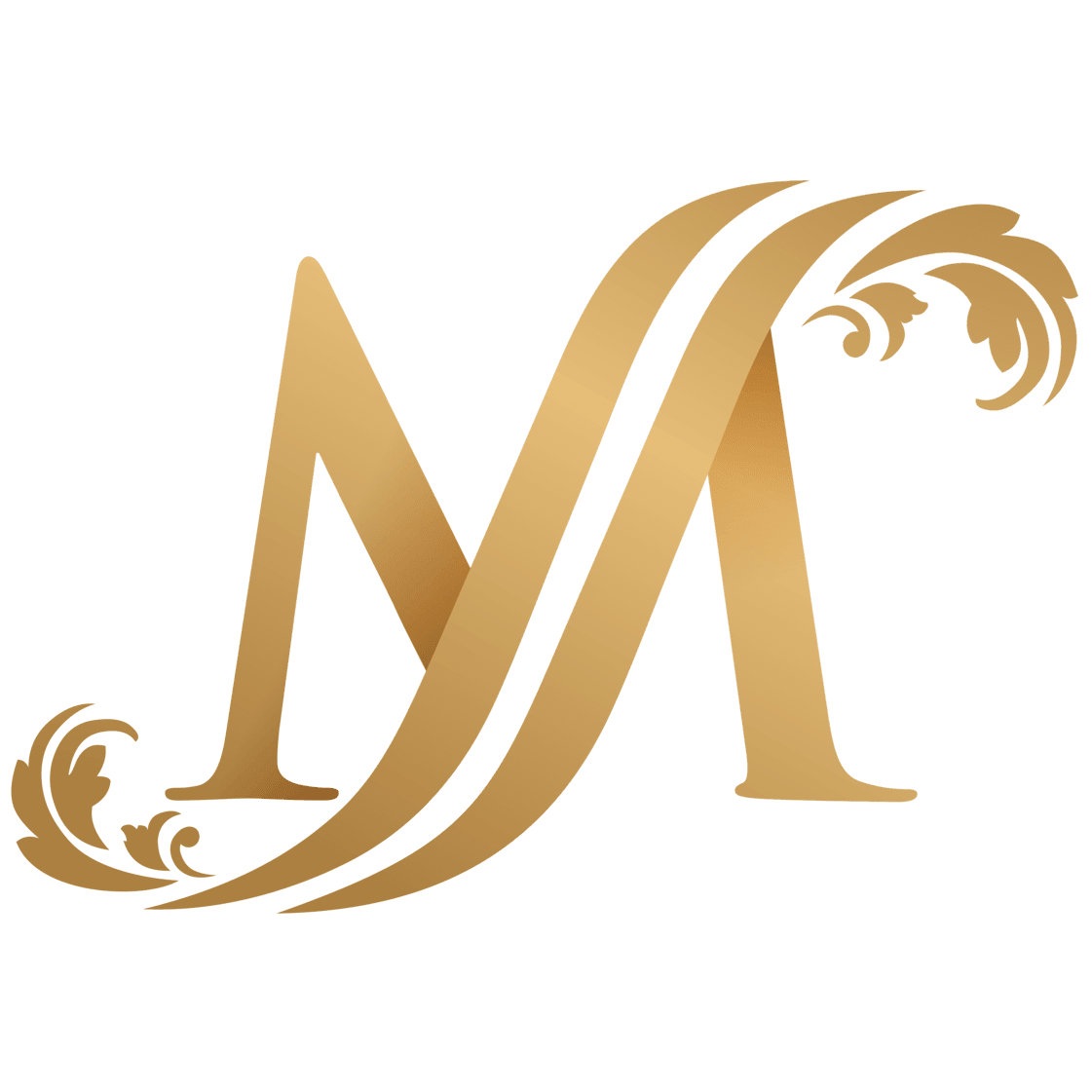 Devenir un mannequin professionnel Vedank Mohan Hotmart