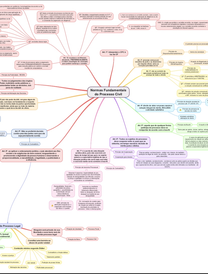 Resumapas Do CPC Normas Fundamentais Do Processo Civil Maria Helena 