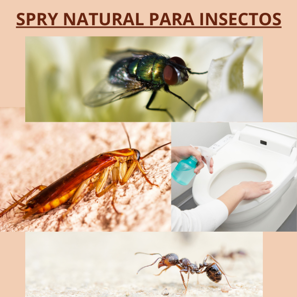 Anti Insectos SPRAY NATURAL ANTI INSECTOS | Hotmart