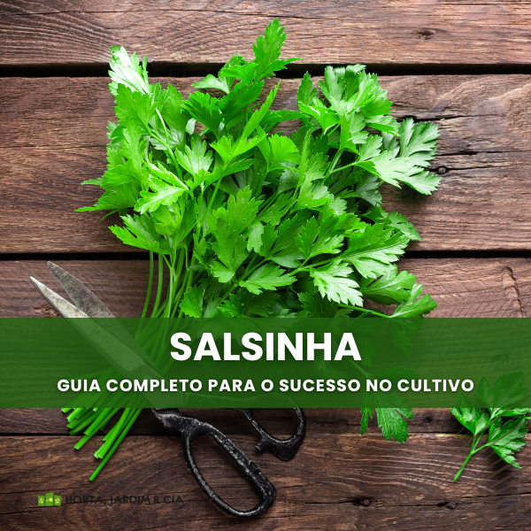 Salsinha Perfeita: Segredos do Cultivo Revelados - VKCF Soluções Di...