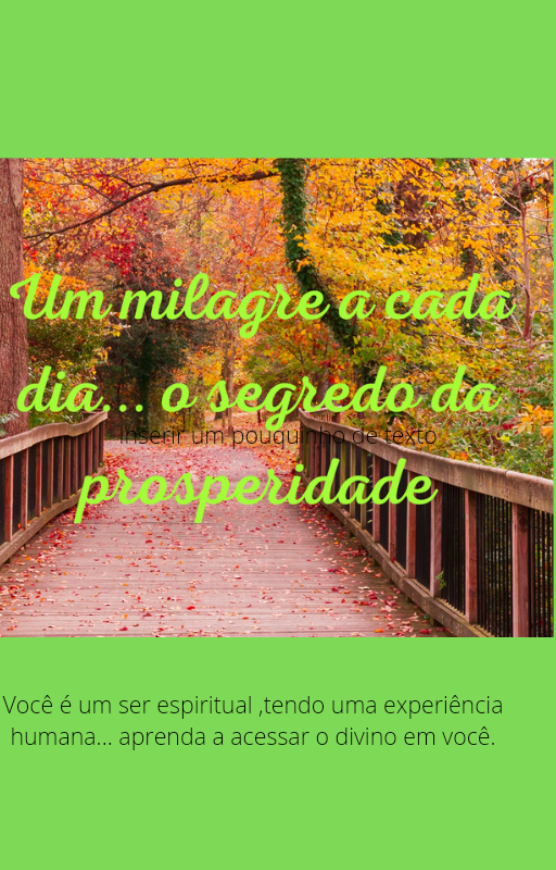 UM milagre a cada dia o segredo da prosperidade