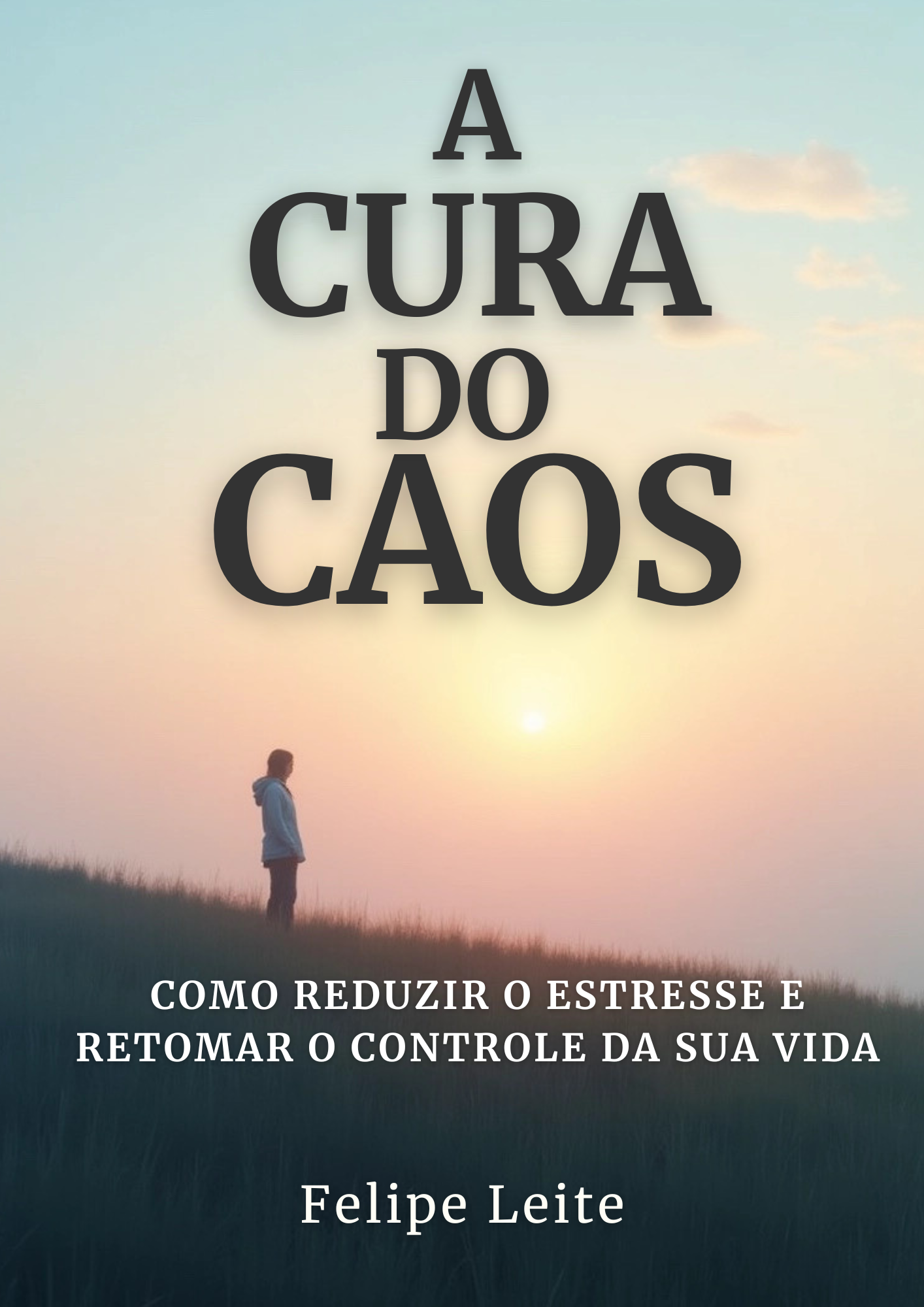 A Cura do Caos: Como Reduzir o Estresse e Retomar o Controle da Sua Vida