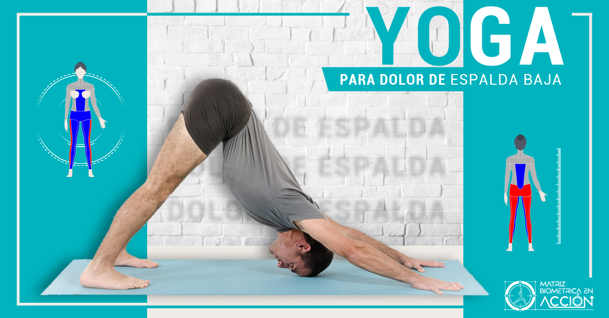 Yoga para Dolor de Espalda: 20 minutos - NexoYOGA | Hotmart