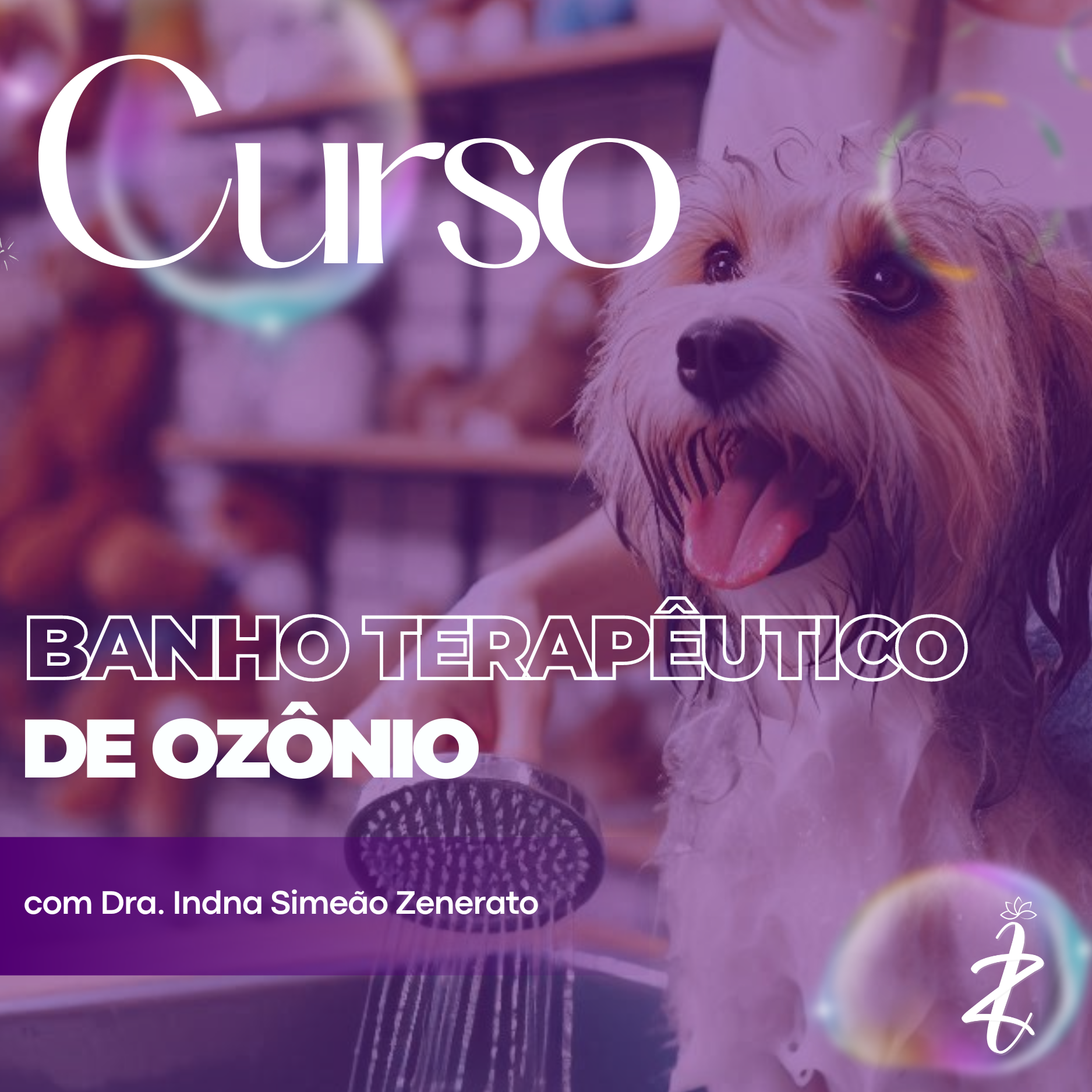 Curso BTO- Banho Terapêutico de Ozônio