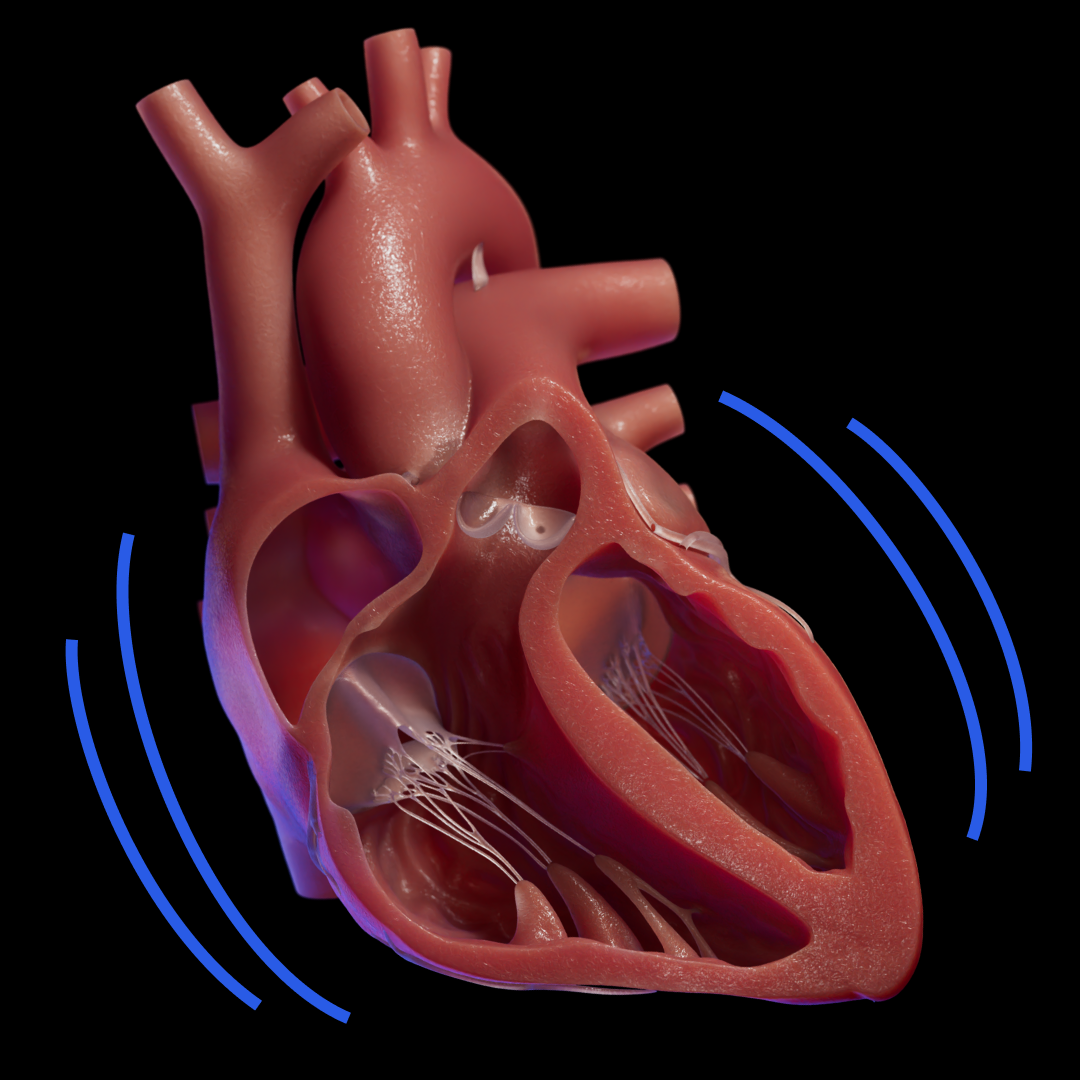 Heart Animation and Lookdev - Full Timelapse | Hotmart