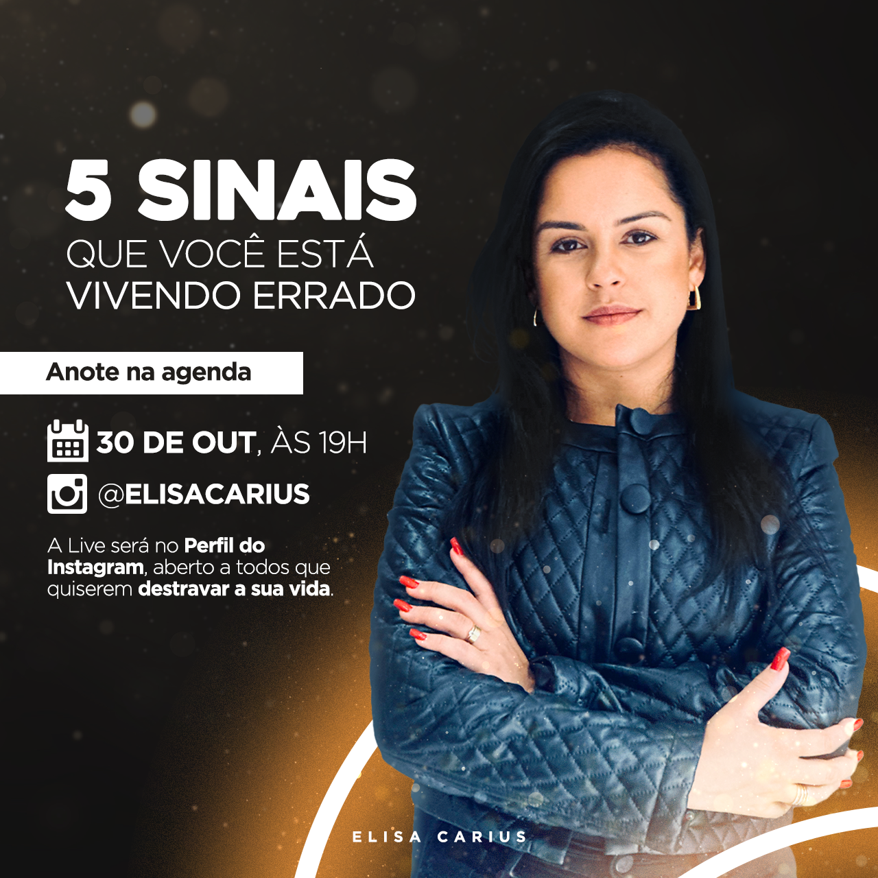 Acelerador de resultados 1.0 - Elisa Carius | Hotmart