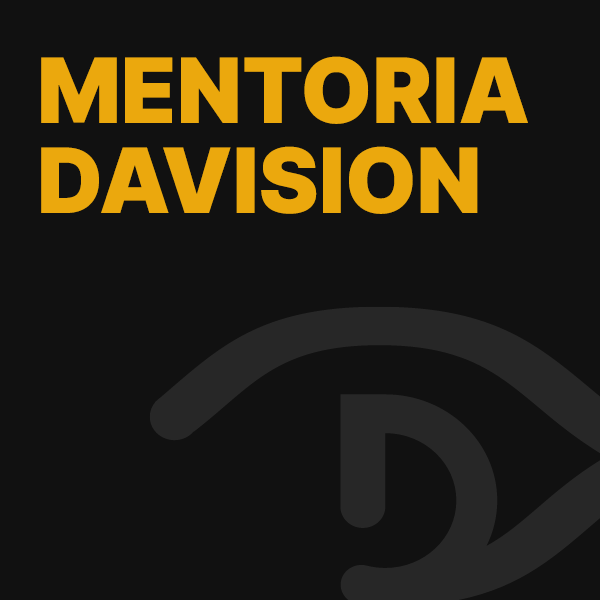 mentoria-da-vision
