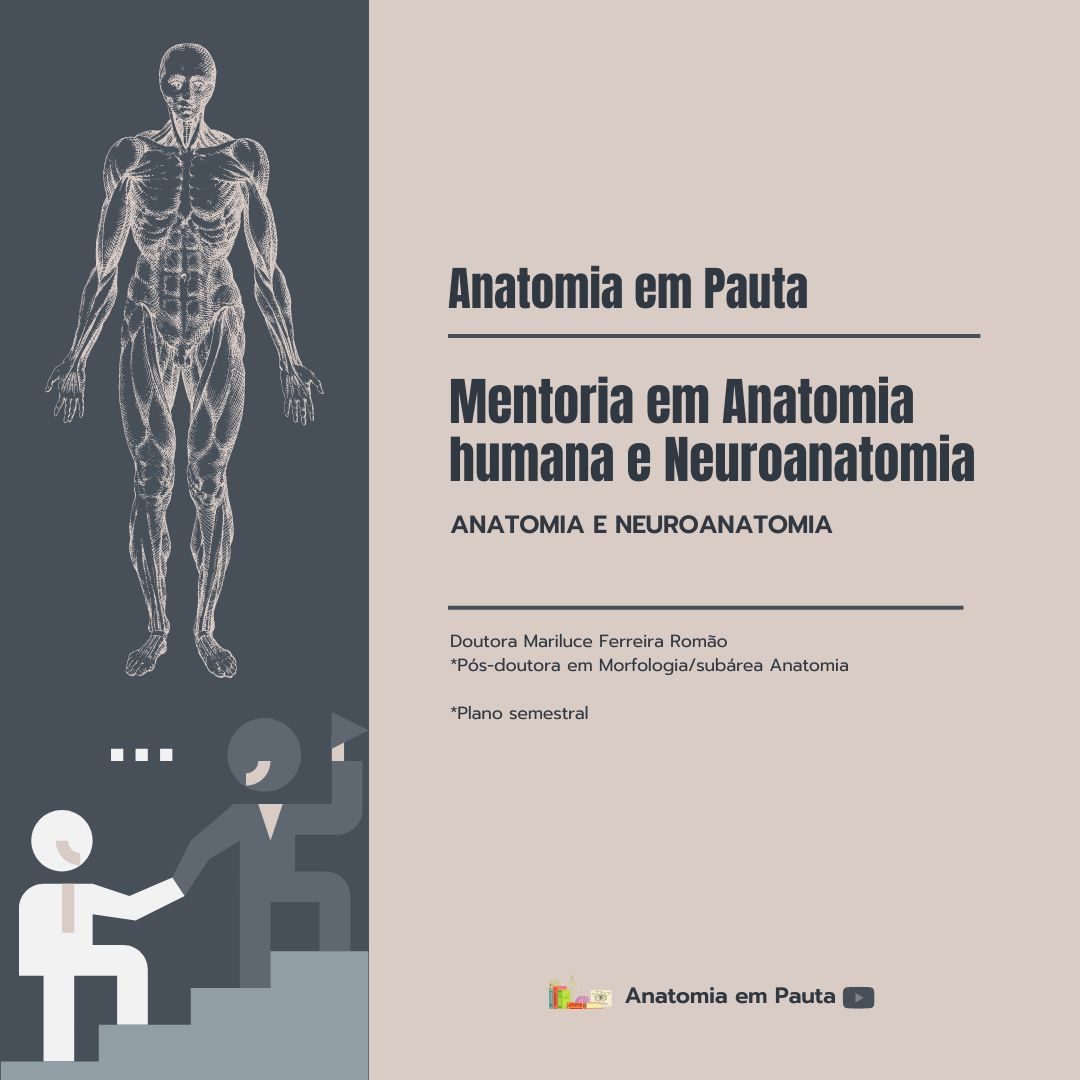 Mentoria em Anatomia e Neuroanatomia