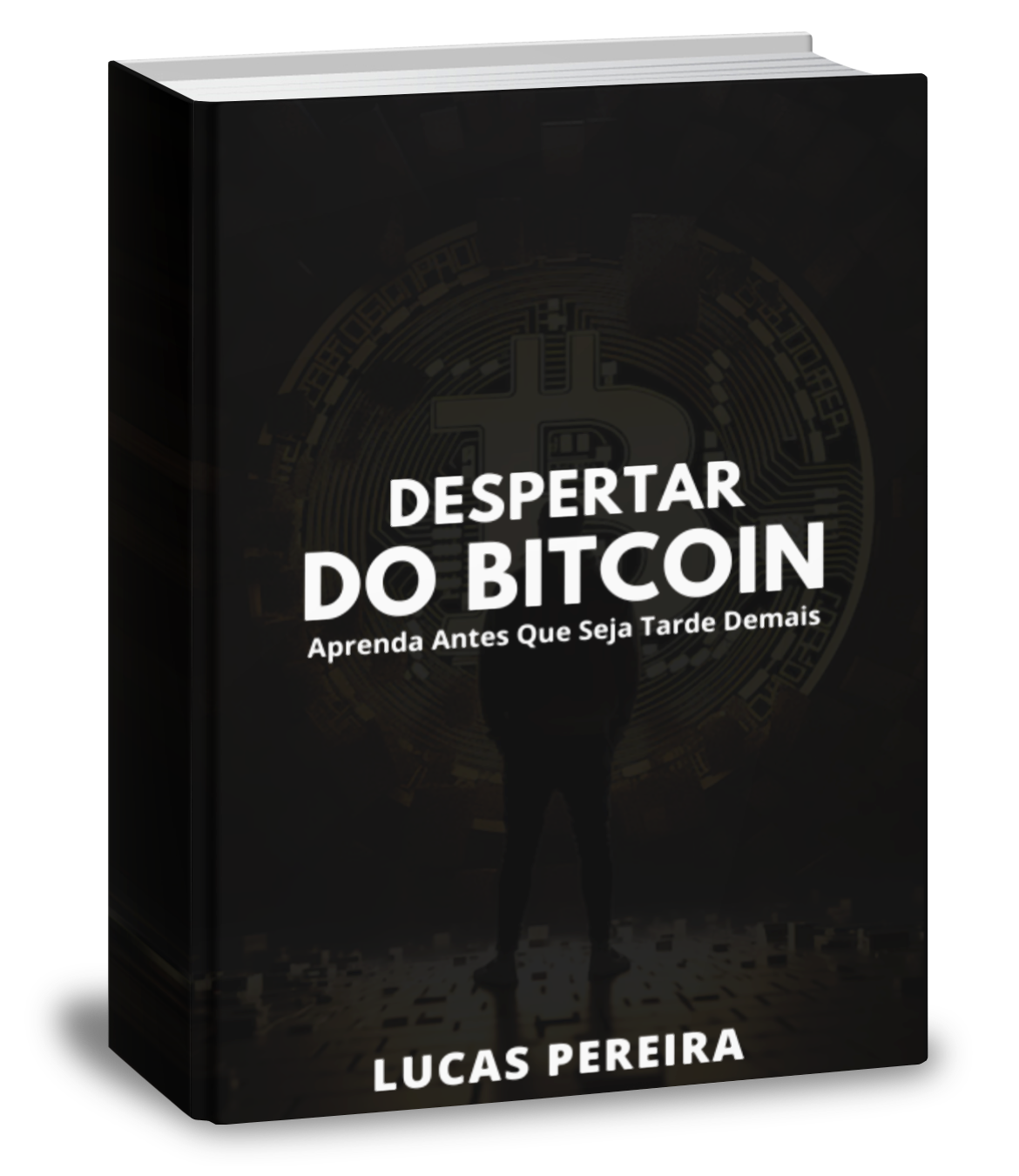 Despertar Do Bitcoin despertar-do-bitcoin