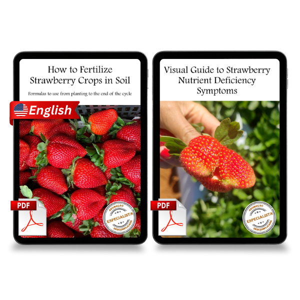 [Strawberry] E-book | 2 units | How to Fertilize Strawberry Crops in ...