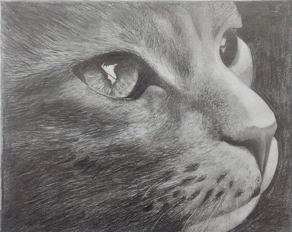 Desenho preto e branco Realista feito a mão - Diego Santos Empreend...