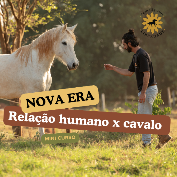Mini curso- A nova era da relação humano x cavalo