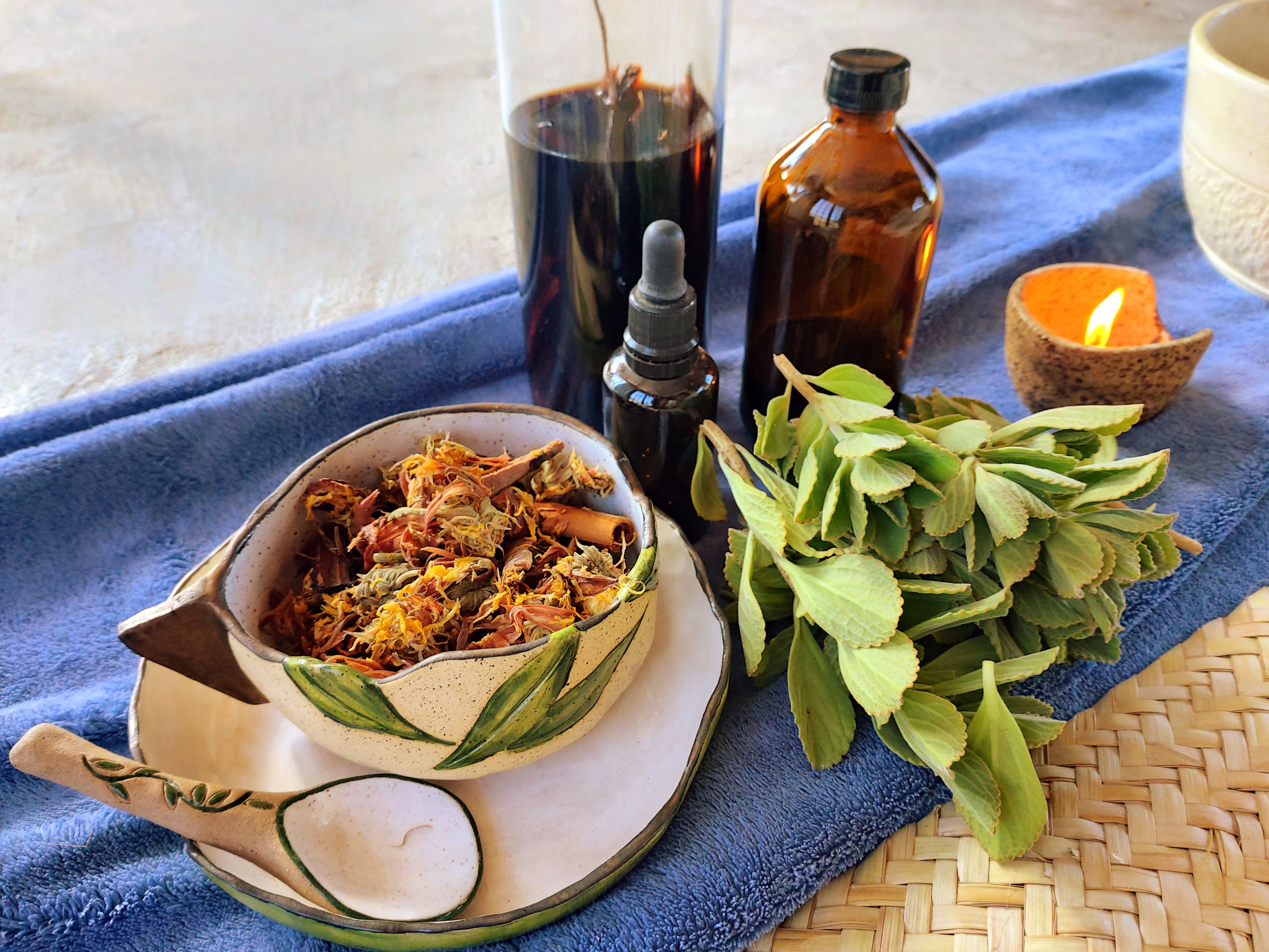 Imagem de capa para o Curso online Capacitação em Herbalismo