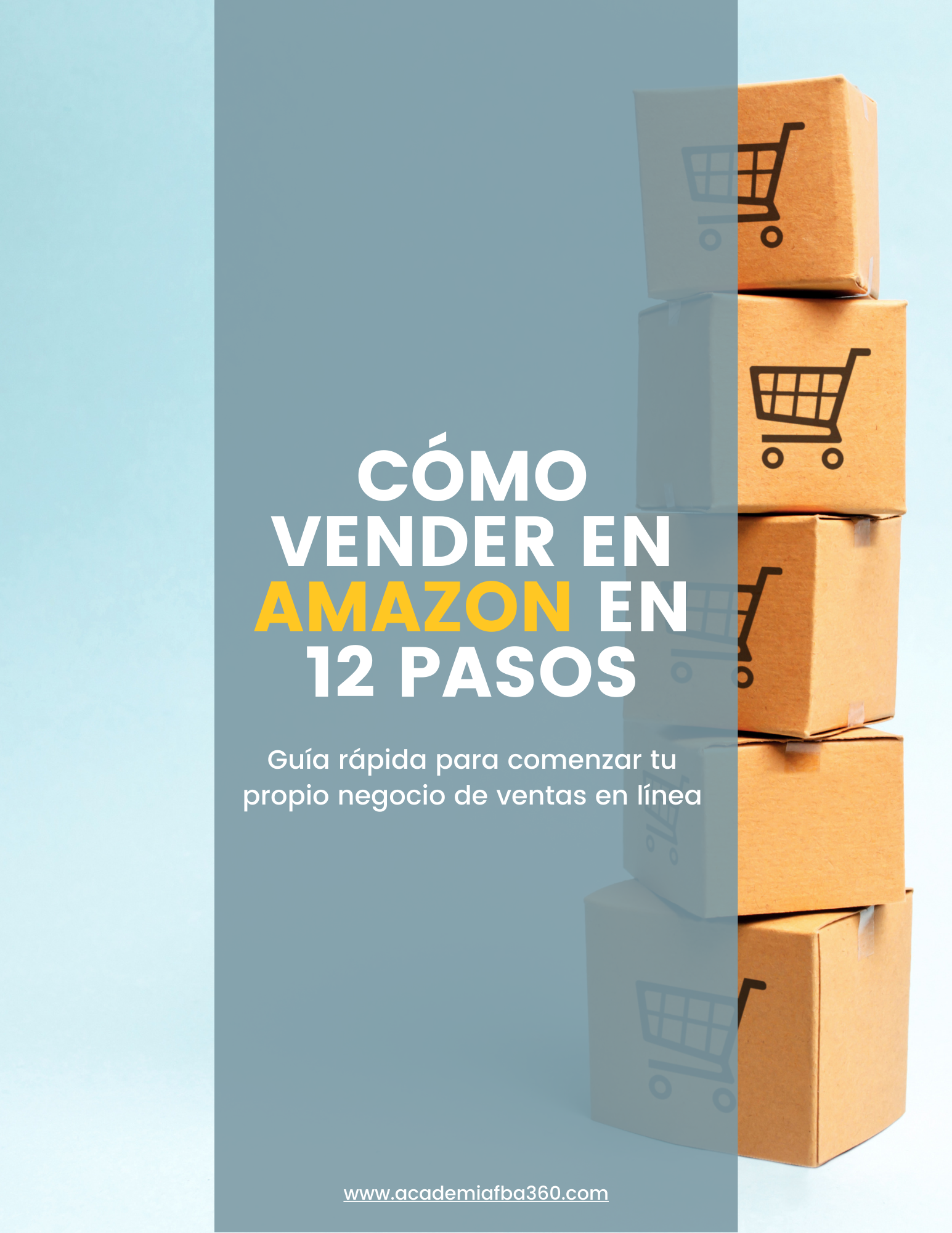 Como vender en Amazon en 12 pasos - Easyfba Academia Online | Hotmart