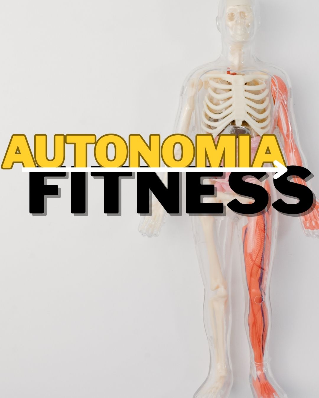 AUTONOMIA FITNESS | Hotmart