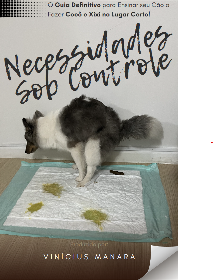Necessidades Sob Controle: O Guia Definitivo para Ensinar seu Cão a Fazer Coco e Xixi no Lugar Certo!