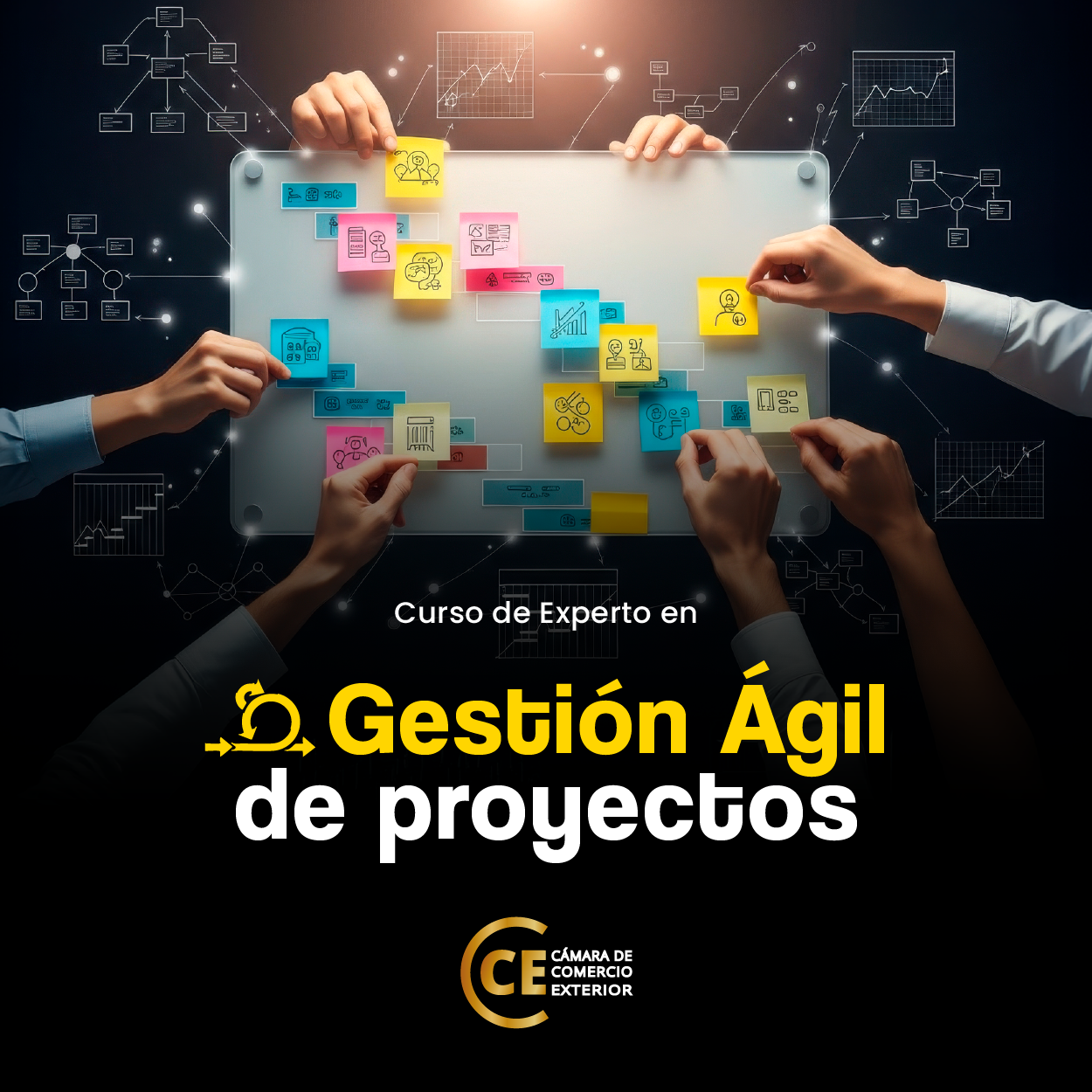 Curso Experto en Gestión Ágil de Proyectos - CÁMARA DE COMERCIO EXT...