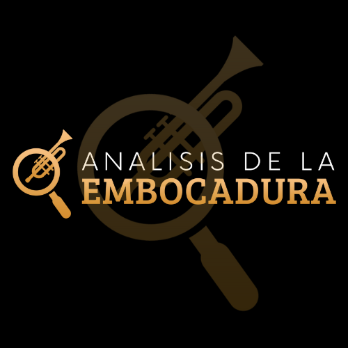 Imagen de portada para Curso online El Analisis de la Embocadura