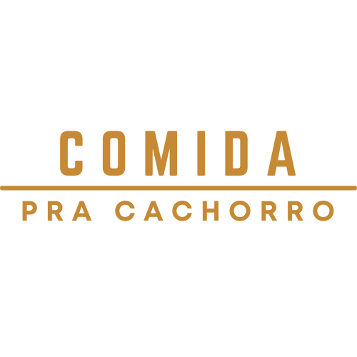 Comida Pra Cachorro comida-pra-cachorro