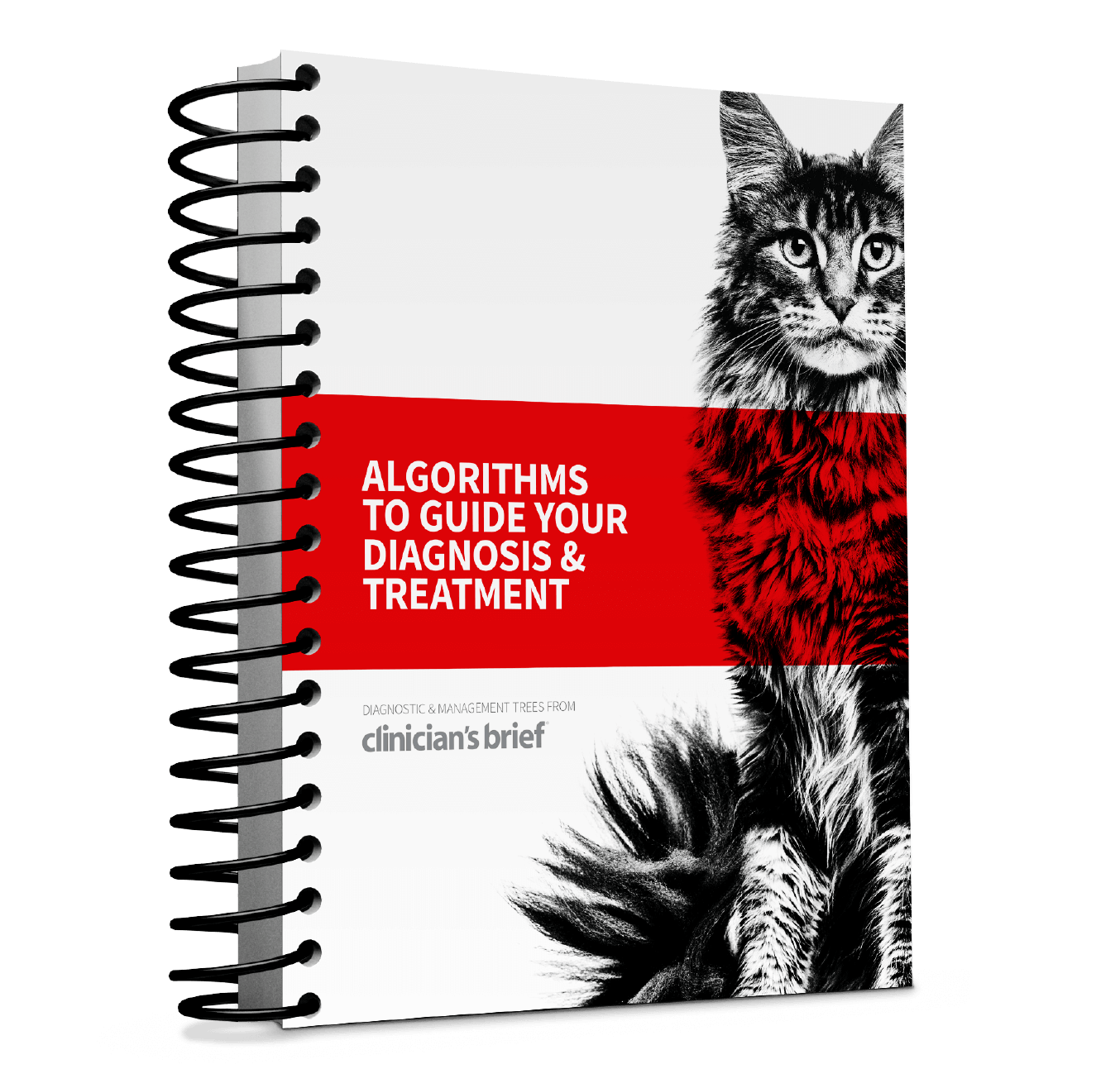 Clinician's Brief Algorithm Collection Vet Valley Hotmart