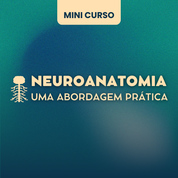 Mini Curso Neuroanatomia uma abordagem pratica
