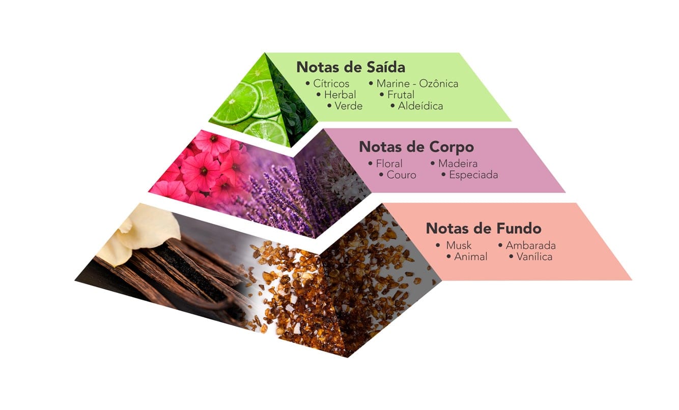 EBOOK Pirâmide Olfativa