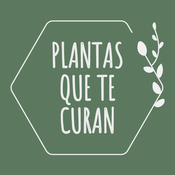 Plantas Que Te Curan Luciana Cardozo Hotmart
