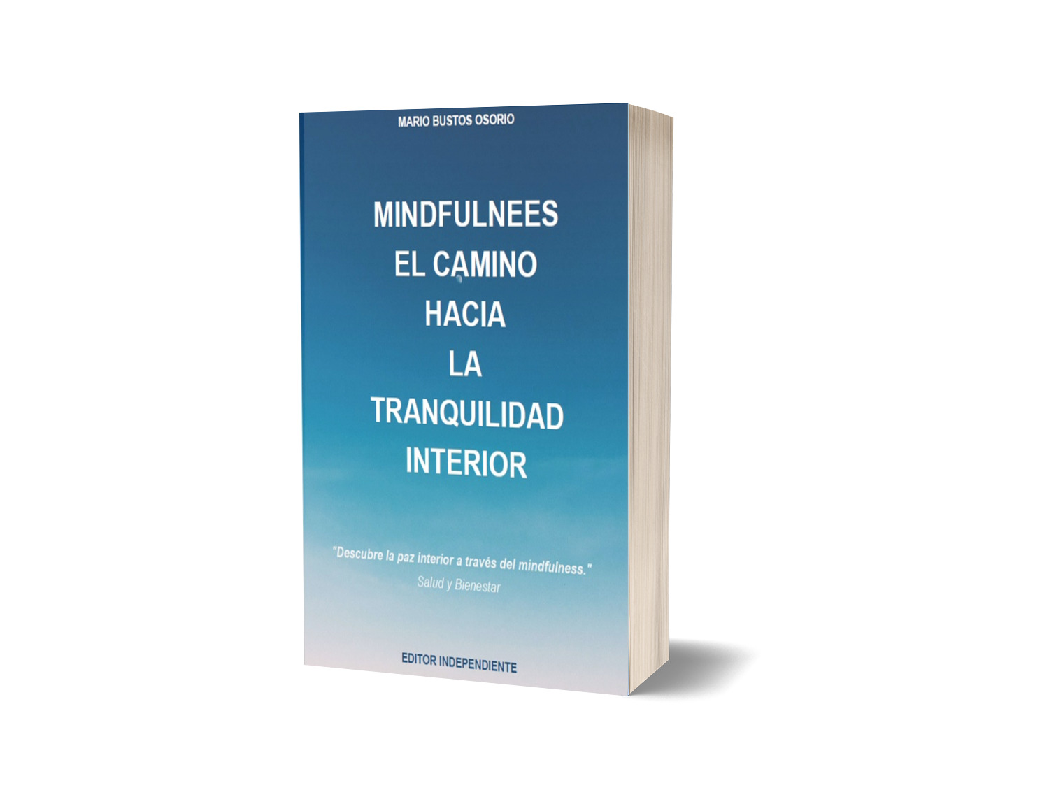 Mindfulness: El Camino hacia la Tranquilidad Interior - mario busto...
