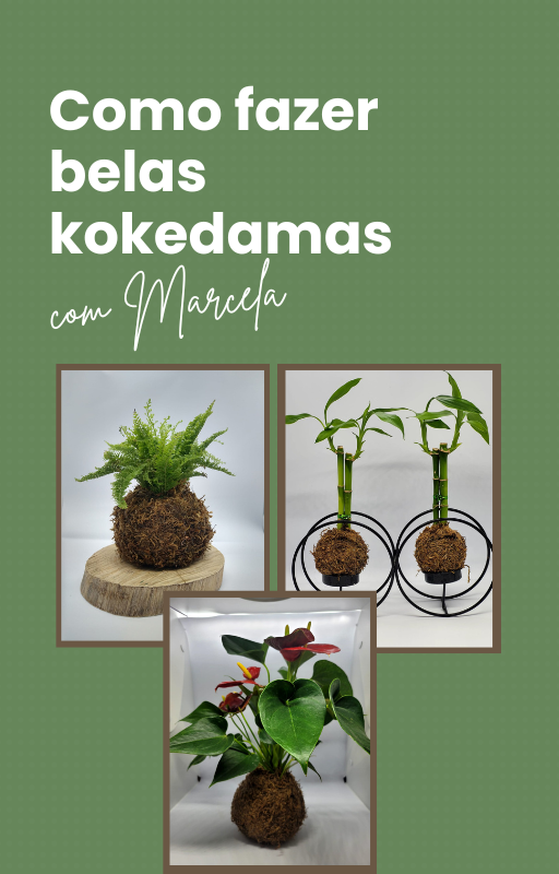 Como fazer as mais belas Kokedamas