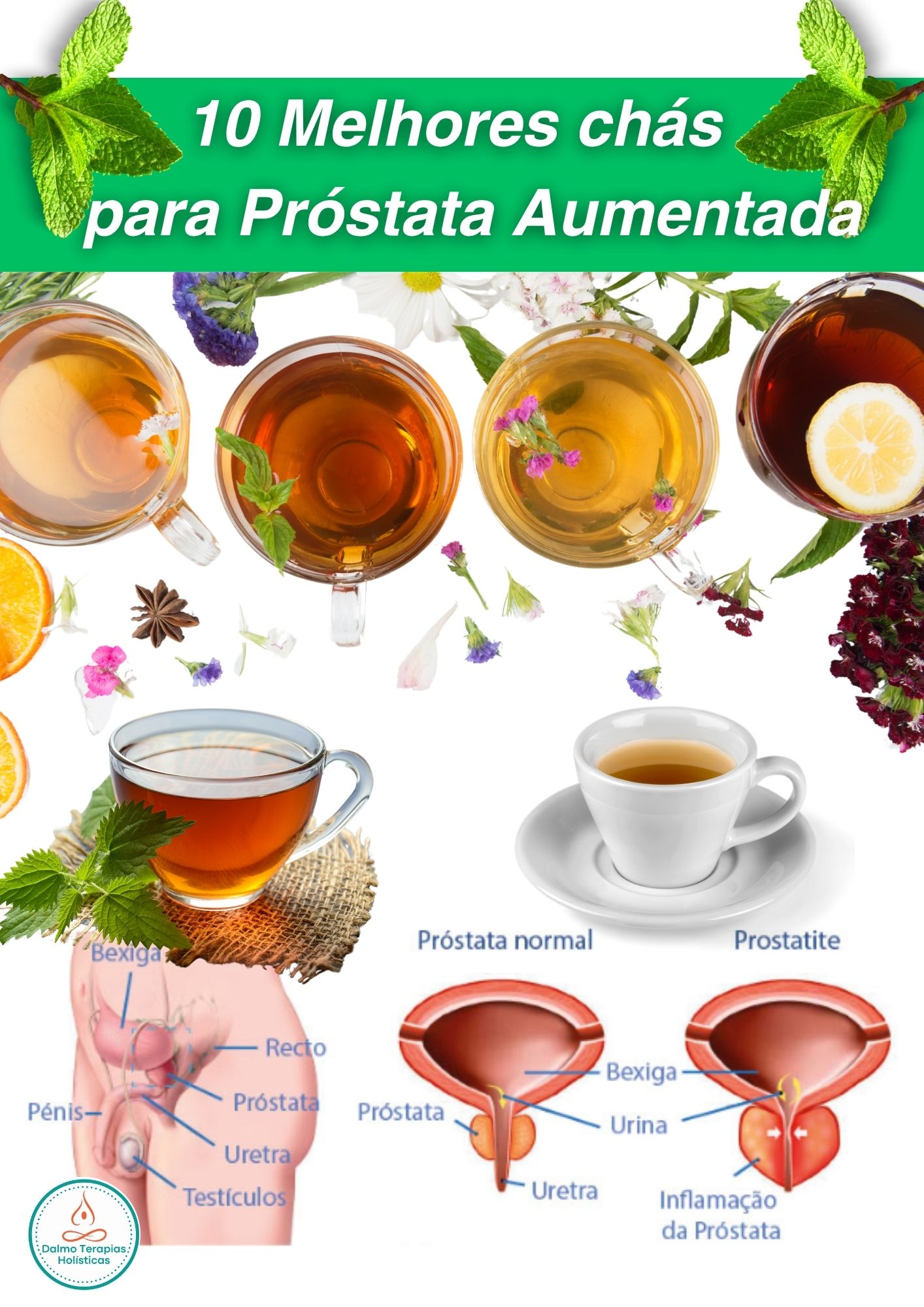 10 melhores chás para próstata aumentada - Dalmo Viana Iridologista...