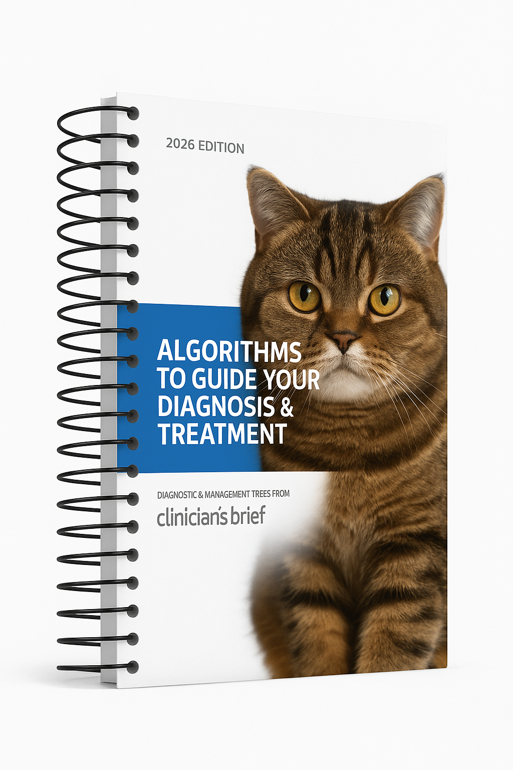 ca2b39d3e82e4050bc998dd19e457c