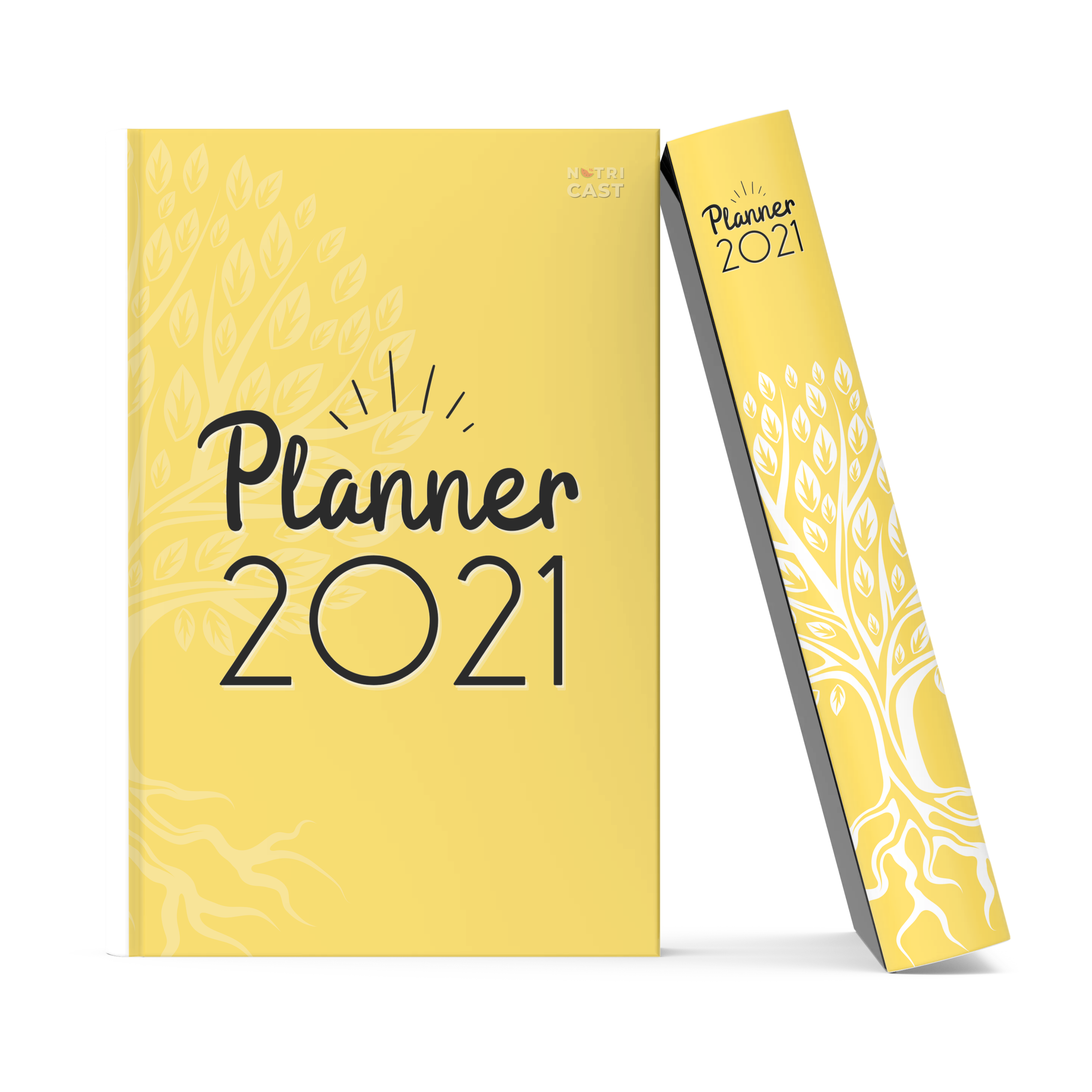 O Melhor Planner 2021 - Organize sua rotina de uma vez por todas!
