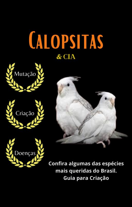 Como Inicializar uma Criação de Aves