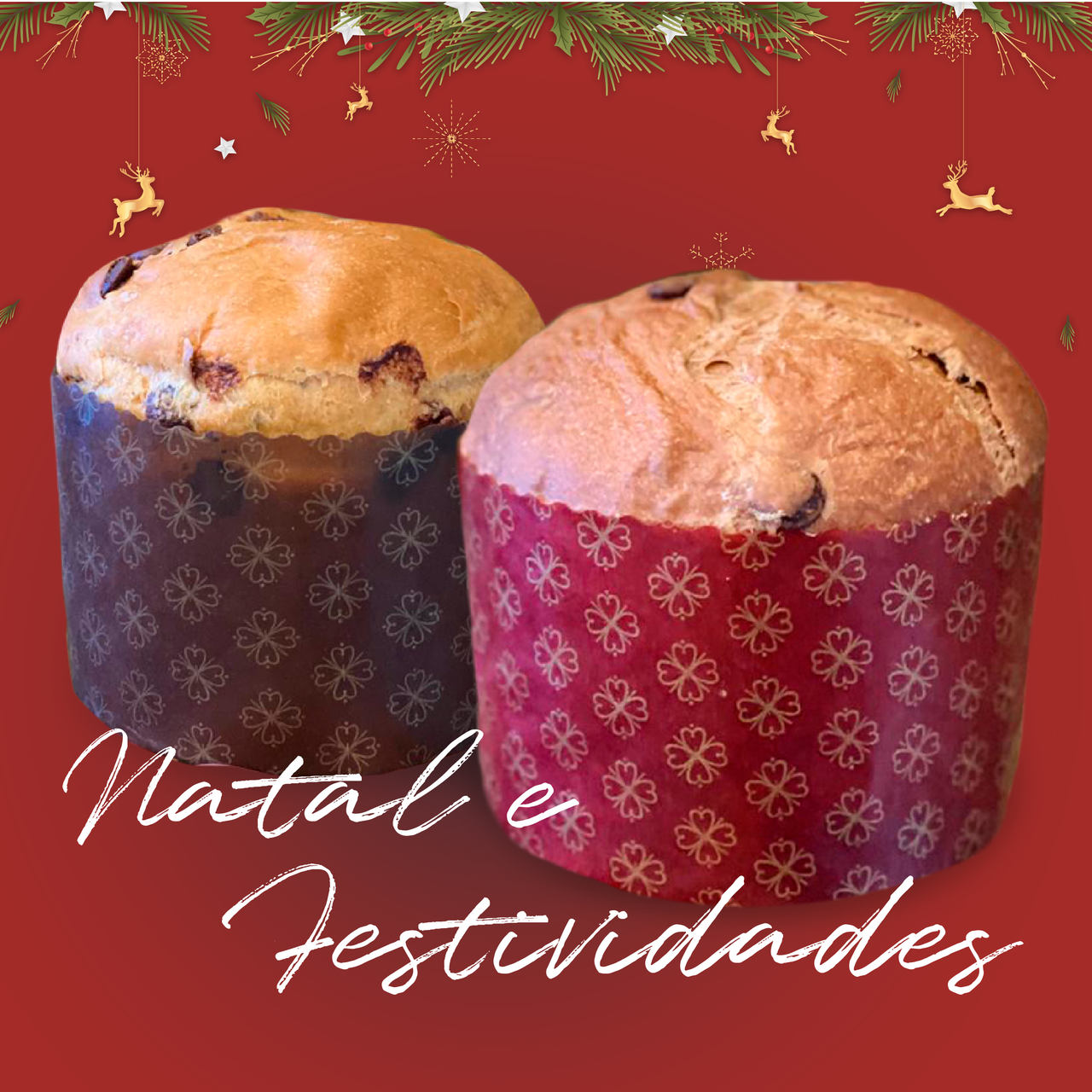 profissionalizante-de-natal-e-festividades
